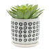 S/2 5/6' AZTEC PLANTER W/ SAUCER, BLACK Default -DTYStore