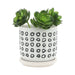 S/2 5/6' AZTEC PLANTER W/ SAUCER, BLACK Default -DTYStore