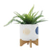S/2 5/8' FUNKY PLANTER W/ STAND, WHITE Default -DTYStore