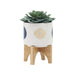 S/2 5/8' FUNKY PLANTER W/ STAND, WHITE Default -DTYStore