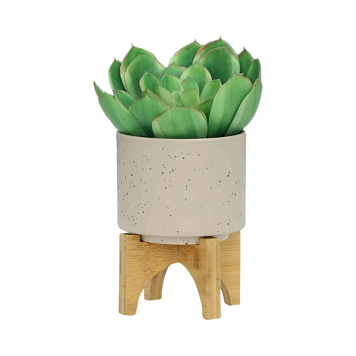 S/2 5/8' PLANTER W/ WOOD STAND, MATTE BEIGE Default -DTYStore
