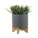 S/2 8/10' PLANTER W/ WOOD STAND, MATTE GRAY Default -DTYStore