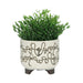 S/2 CERAMIC 6/8' SCRIBBLE FOOTED PLANTER, BEIGE Default -DTYStore