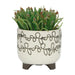 S/2 CERAMIC 6/8' SCRIBBLE FOOTED PLANTER, BEIGE Default -DTYStore