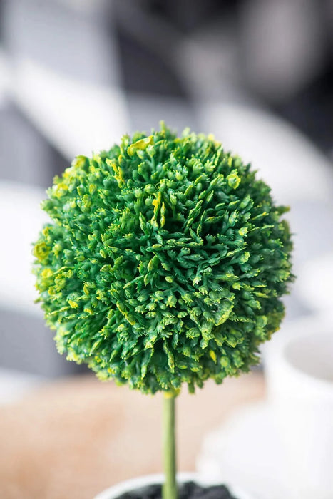 S/3 D3.5x9.5' Mini Faux Topiaries in Cream Pot Default -DTYStore