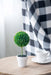 S/3 D3.5x9.5' Mini Faux Topiaries in Cream Pot Default -DTYStore