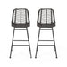 Sawtelle Outdoor Wicker Barstools Set of 2 with Faux Rattan and Iron Frame in Gray and Black Finish Default -DTYStore