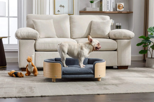 Scandinavian style Elevated Dog Bed Pet Sofa With Solid Wood legs and Bent Wood Back, Velvet Cushion,Mid Size,Dark Grey Default -DTYStore