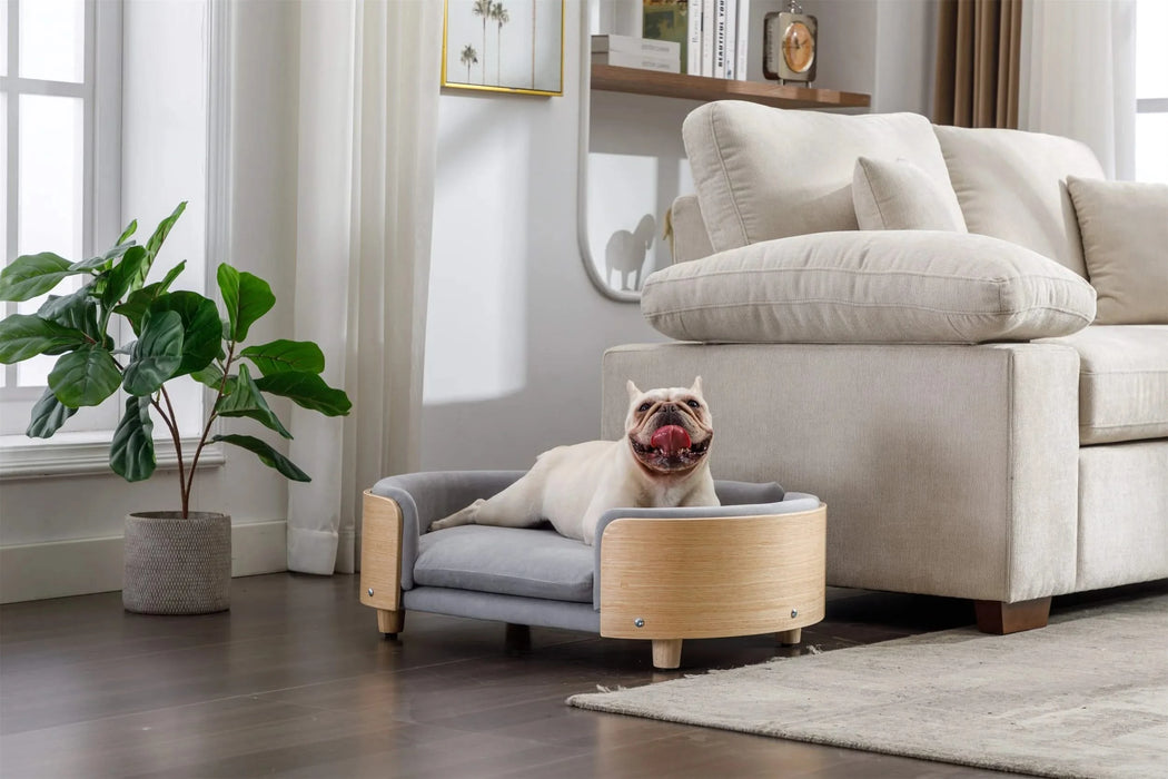 Scandinavian style Elevated Dog Bed Pet Sofa With Solid Wood legs and Bent Wood Back, Velvet Cushion,Mid Size Light Grey Default -DTYStore