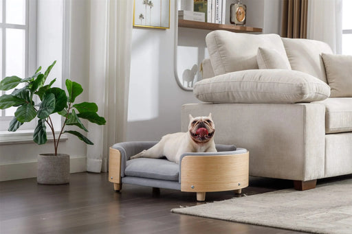 Scandinavian style Elevated Dog Bed Pet Sofa With Solid Wood legs and Bent Wood Back, Velvet Cushion,Mid Size Light Grey Default -DTYStore