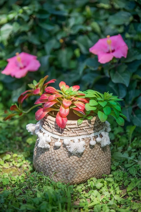 Set of 2 6.5x6.5x6' Brown Cement Planter with Woven Tassel Accent Default -DTYStore