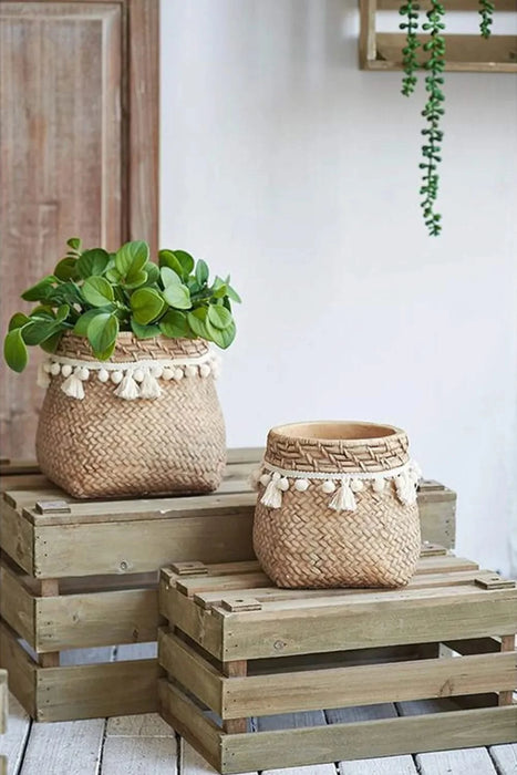 Set of 2 6.5x6.5x6' Brown Cement Planter with Woven Tassel Accent Default -DTYStore