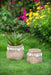 Set of 2 6.5x6.5x6' Brown Cement Planter with Woven Tassel Accent Default -DTYStore
