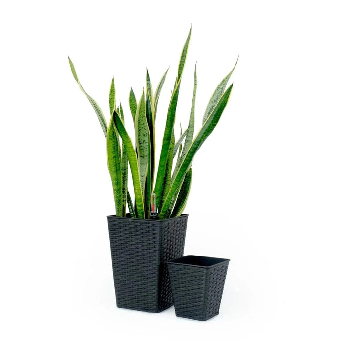 Set of 2 CATLEZA 7-inch and 9.4-inch Square Wicker Planters Espresso -DTYStore