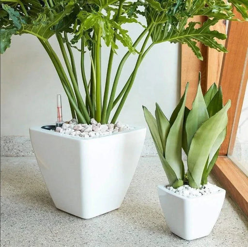 Set of 2 CATLEZA Cone Planters -DTYStore