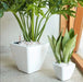 Set of 2 CATLEZA Cone Planters -DTYStore