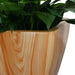 Set of 2 CATLEZA Cone Planters -DTYStore