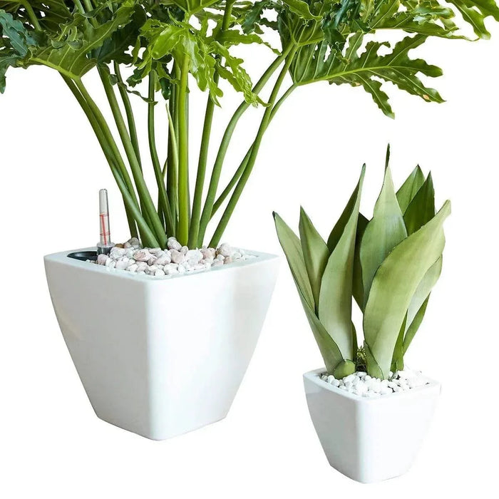 Set of 2 CATLEZA Cone Planters Square White -DTYStore