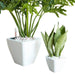 Set of 2 CATLEZA Cone Planters Square White -DTYStore