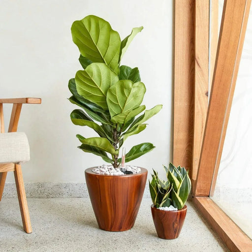 Set of 2 CATLEZA Cone Planters -DTYStore