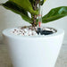 Set of 2 CATLEZA Cone Planters -DTYStore