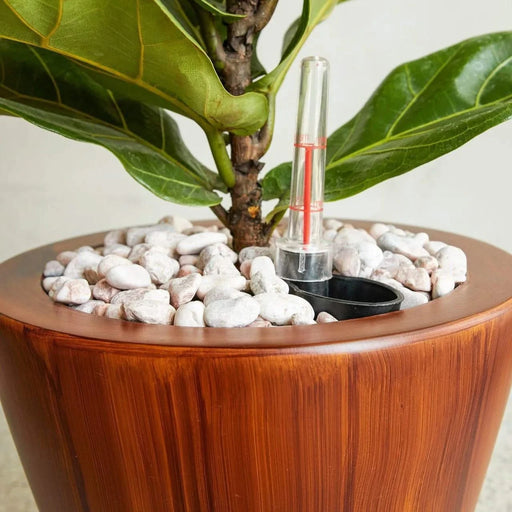 Set of 2 CATLEZA Cone Planters -DTYStore