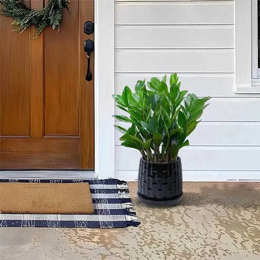 Set of 2 Ceramic Flowerpot, 7' Modern Planter for Patio, Garden, Windowsill - Black Default -DTYStore