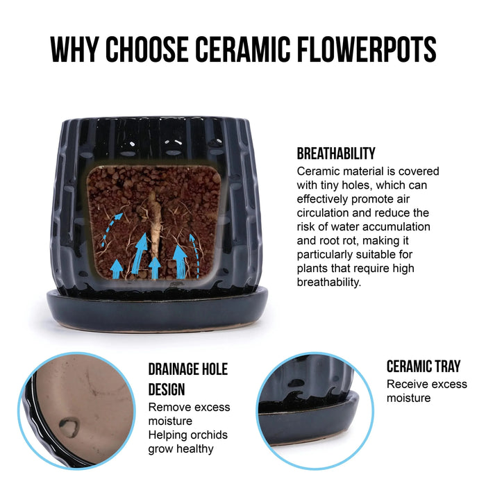 Set of 2 Ceramic Flowerpot, 7' Modern Planter for Patio, Garden, Windowsill - Black Default -DTYStore