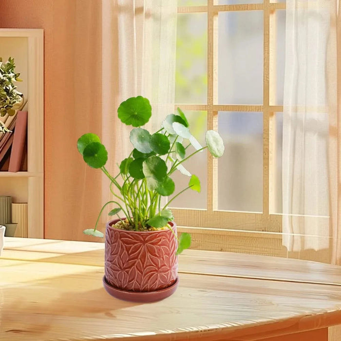 Set of 2 Ceramic Flowerpot, 7' Modern Planter for Patio, Garden, Windowsill - Red Default -DTYStore