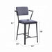 Set of 2 Counter Height Chairs with Metal Frame, Gunmetal Default -DTYStore