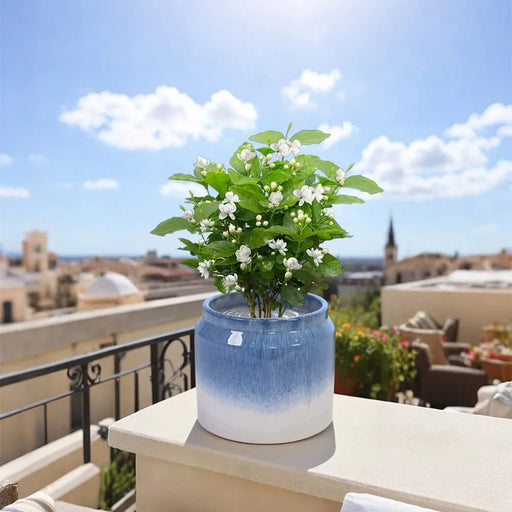 Set of 2 Gradient Ceramic Flowerpot, Modern Planter for Patio, Garden, Windowsill - White Blue Default -DTYStore