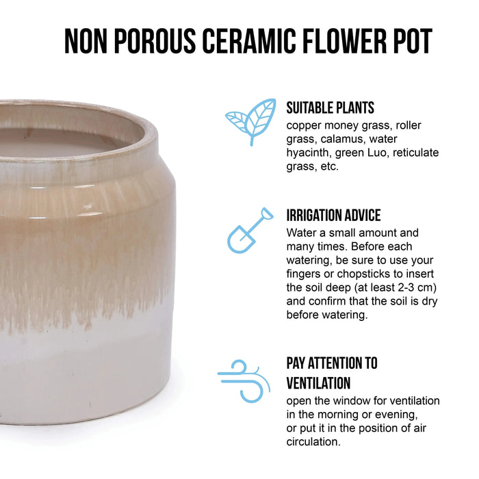 Set of 2 Gradient Ceramic Flowerpot, Modern Planter for Patio, Garden, Windowsill - White Brown Default -DTYStore