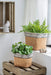 Set of 2 Rectangular Basket Planters with Geometric Trim, L:10.5x8.5x8' S:7.5x5.5x6.5' Default -DTYStore