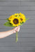Set of 3, 14x14x15' Sunflower Bundle X7 Default -DTYStore