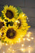 Set of 3, 14x14x15' Sunflower Bundle X7 Default -DTYStore