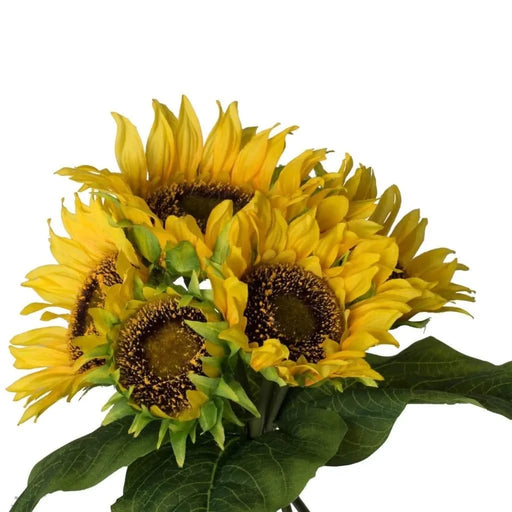 Set of 3, 14x14x15' Sunflower Bundle X7 Default -DTYStore