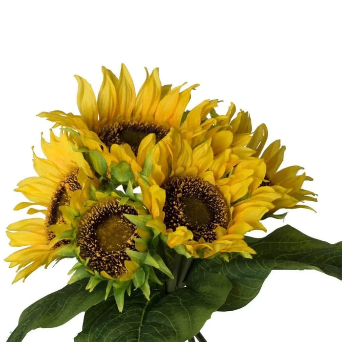 Set of 3, 14x14x15' Sunflower Bundle X7 Default -DTYStore