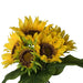 Set of 3, 14x14x15' Sunflower Bundle X7 Default -DTYStore