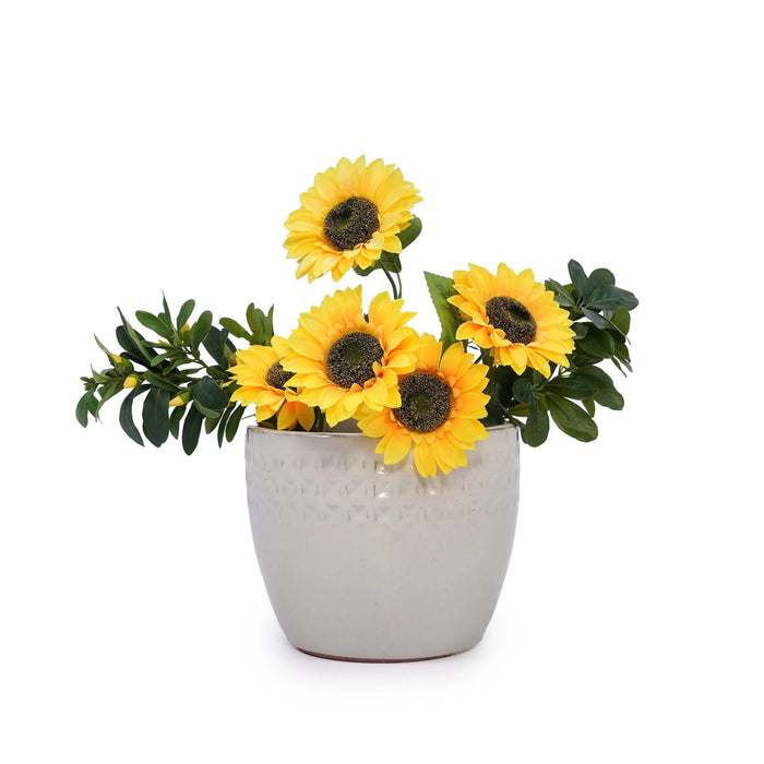 Set of 3 Ceramic Flowerpot, Modern Planter for Patio, Garden, Windowsill - Ancient White Default -DTYStore