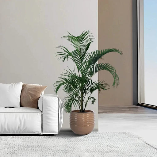 Set of 3 Ceramic Flowerpot, Modern Planter for Patio, Garden, Windowsill - Antique Bronze Default -DTYStore