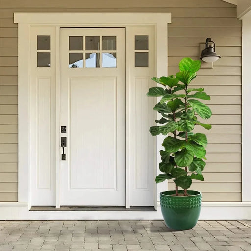 Set of 3 Ceramic Flowerpot, Modern Planter for Patio, Garden, Windowsill - Antique Green Default -DTYStore