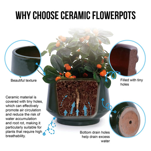 Set of 3 Ceramic Flowerpot, Modern Planter for Patio, Garden, Windowsill - Antique Green Default -DTYStore