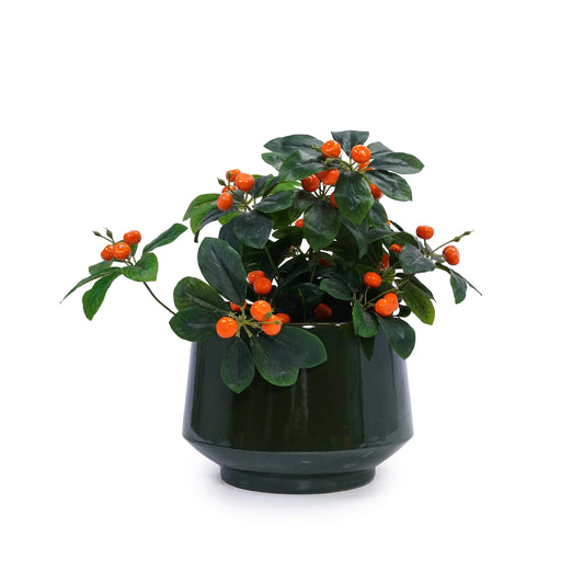 Set of 3 Ceramic Flowerpot, Modern Planter for Patio, Garden, Windowsill - Antique Green Default -DTYStore