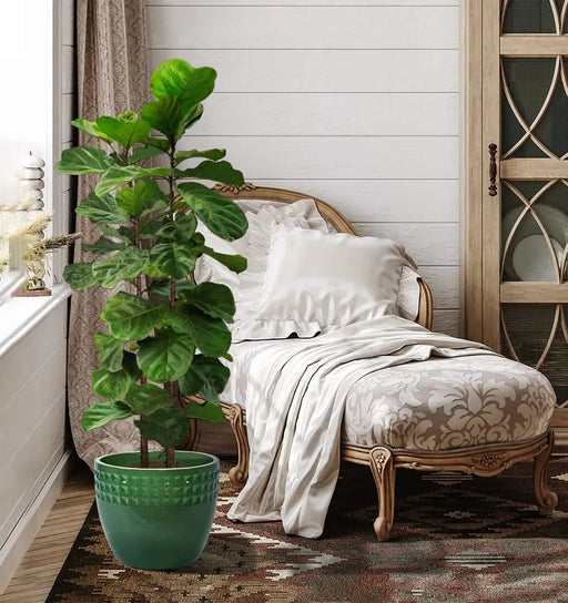 Set of 3 Ceramic Flowerpot, Modern Planter for Patio, Garden, Windowsill - Antique Green Default -DTYStore