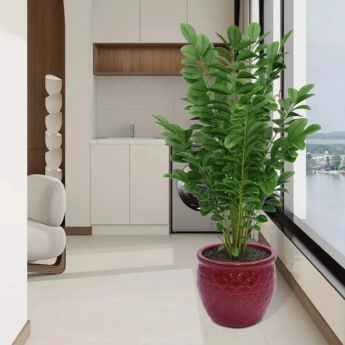 Set of 3 Ceramic Flowerpot, Modern Planter for Patio, Garden, Windowsill - Red Default -DTYStore