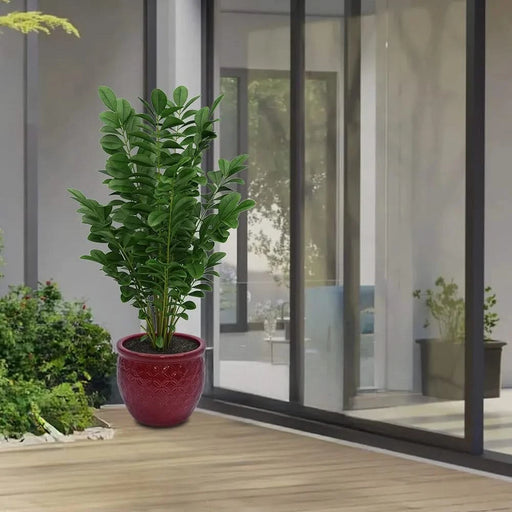 Set of 3 Ceramic Flowerpot, Modern Planter for Patio, Garden, Windowsill - Red Default -DTYStore