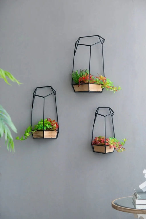 Set of 3 Felix Wall Planter, L:10x10x16.5' M:8.5x8.5x15.5' S:7x7x13.5' Default -DTYStore
