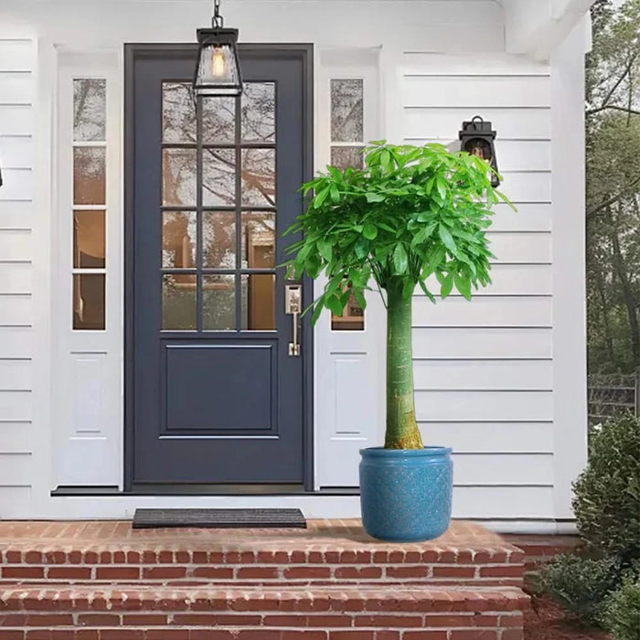 Set of 3 Flower Ceramic Flowerpot, Modern Planter for Patio, Garden, Windowsill - Antique Blue Default -DTYStore