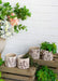 Set of 4 4.3x4.3x4' Gray Sand and Cement Planters with Brown Botanical Motifs Default -DTYStore