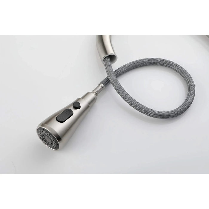 Single Handle Kitchen Sink Faucet with Pull Out Sprayer Default -DTYStore